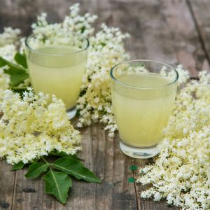 Lime Cordial